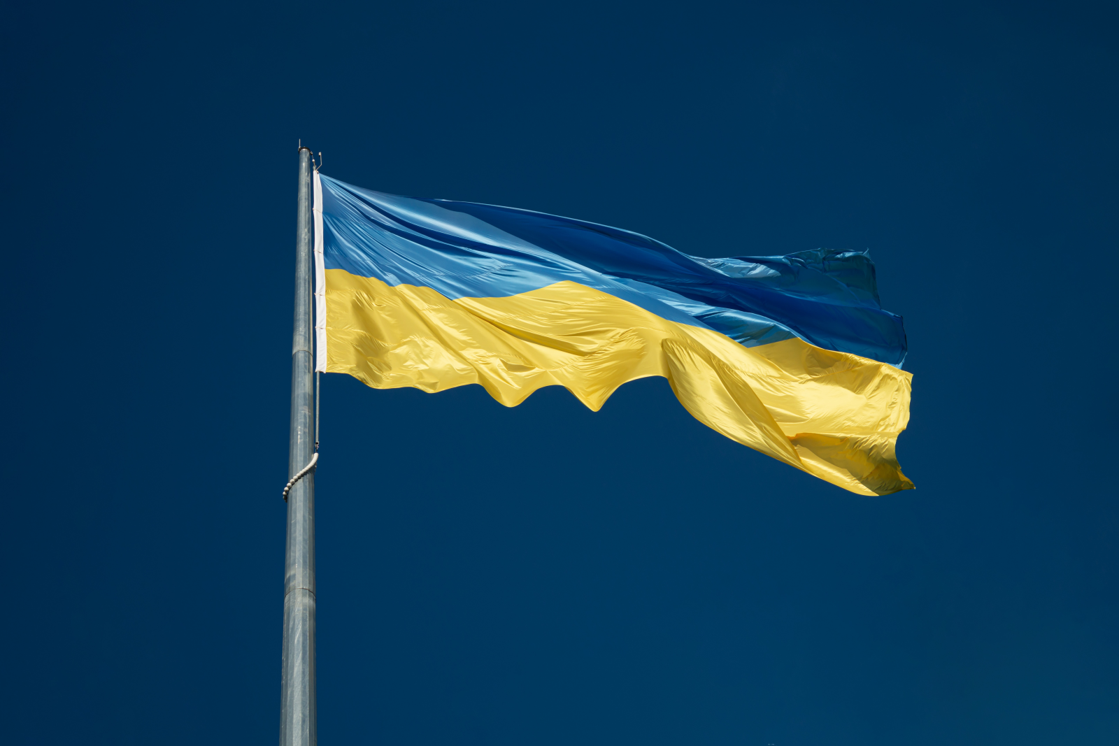 Photo by Yehor Milohrodskyi via Unsplash